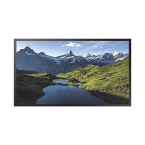 Pantalla Profesional LED 55