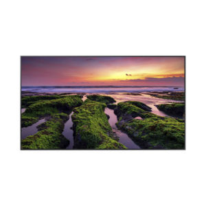 Pantalla Profesional LED de 55