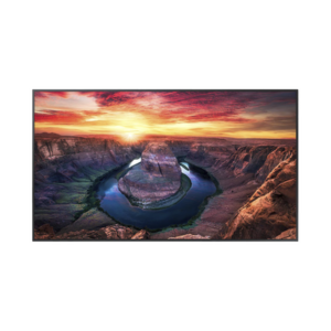 Pantalla Profesional LED de 55